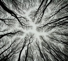 principal blog image